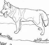 Pages Coloring Malamute Alaskan Getcolorings Dog sketch template