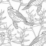 Coloring Nature Pages sketch template