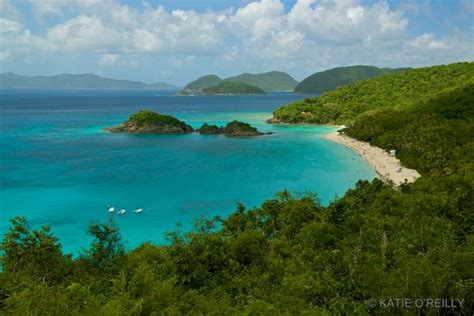 trunk bay st john usvi travel beach places of interest relaxing places places to travel
