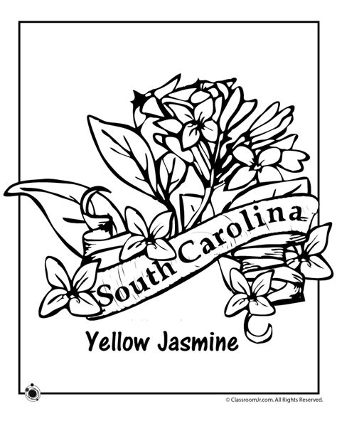 south carolina state flower coloring page woo jr kids activities