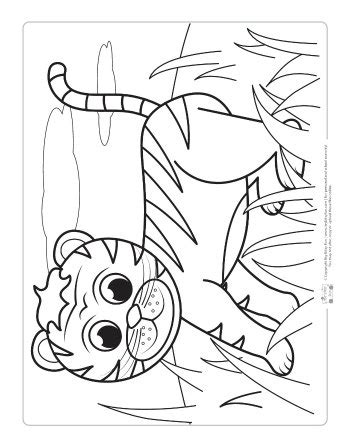 safari  jungle animals coloring pages  kids itsy bitsy fun