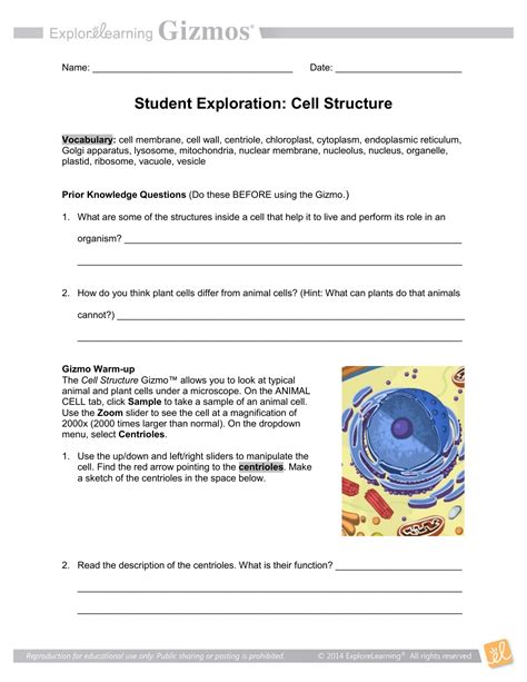 gizmo cell structure answer key activity  athens mutual student corner