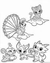 Shimmer Brillo Adorables Mascotas Zeta Samira Princess Rapper Coloring4free sketch template