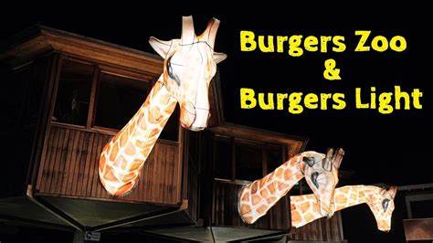 burgers zoo  inkl burgers light  youtube