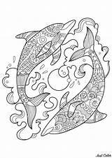 Dolphin Coloring Pages Dolphins Adult Ocean Adults Two Mandala Printable Zentangle Animal Justcolor Colouring Sheets Spinning Lovely Patterns Pretty Water sketch template