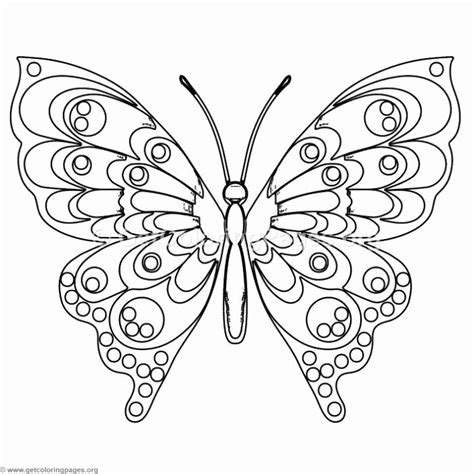 detailed butterfly coloring pages     butterfly  coloring