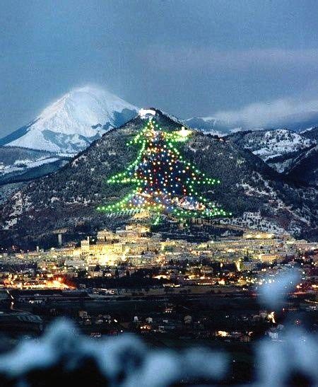 worlds largest christmas tree   slopes  mount ingino gubbio italy large christmas