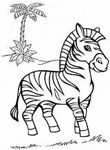 Zebra Coloring Pages Kids Animal Zoo Colouring Animals Color Zebras Choose Board Baby sketch template