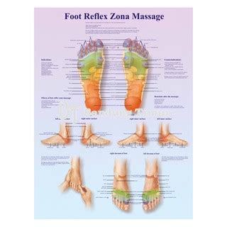 jual poster sistem saraf foot reflex zona massage shopee indonesia