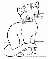 Cat Coloring Pages Cats Color Hungry Kids Honkingdonkey Print Printable sketch template