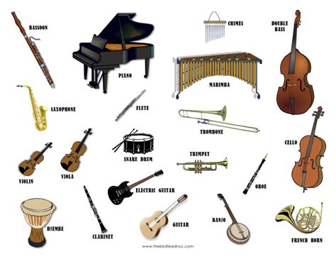 musical instruments   names