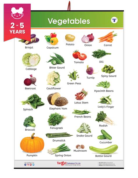 vegetables chart  kids learn  green vegetables
