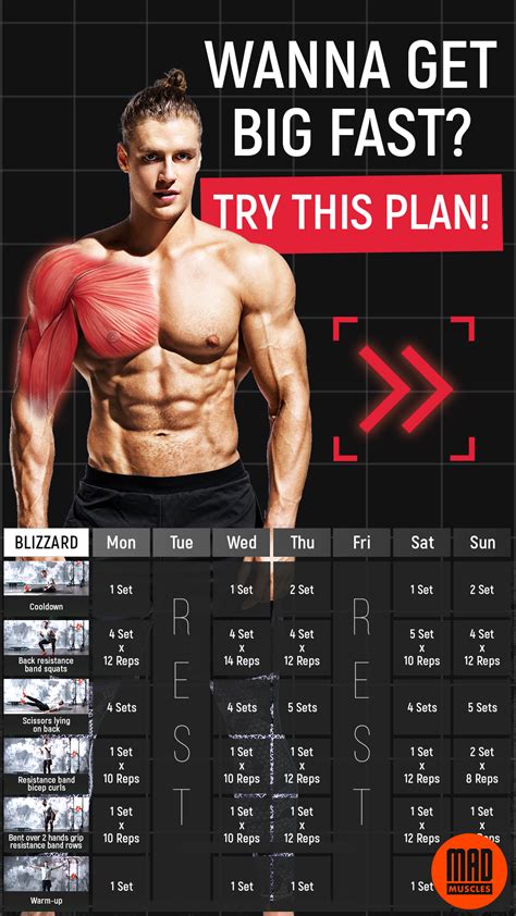 Muscle Building Workout Plan For Men Get Yours