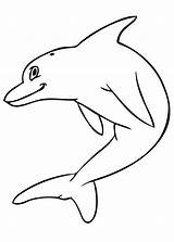Delfini Colorare Disegni Animali Pianetabambini Altri sketch template