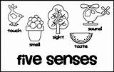 Senses Wecoloringpage Kindergarten sketch template