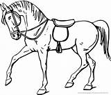 Ausmalbilder Pferde Kinder Pferd Malvorlage Tiere sketch template