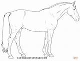 Coloring Oldenburg Pages Horse Horses Lineart Drawing Deviantart sketch template