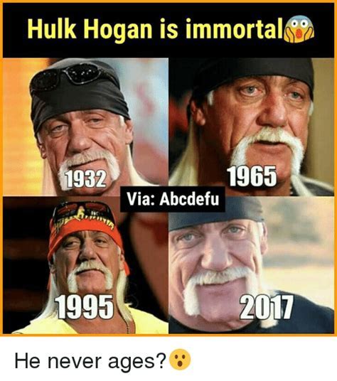 Oh Brother Hulk Hogan Memes