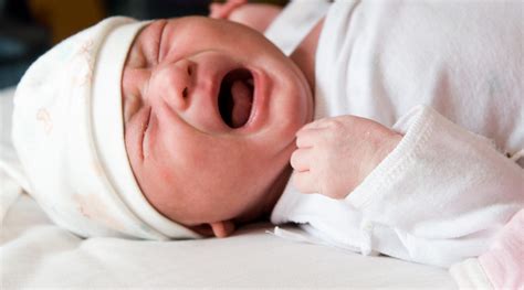 sara givens guide  decoding  babys cries