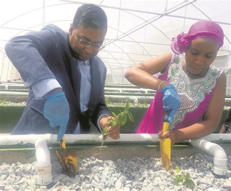 food security in mzansi gets a boost