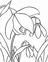 Spring Flowers Snowdrop Coloring Pages Handipoints Drawings Flower Drawing Cliparts Clipart Print Printing Clipartbest Primarygames Cat Library sketch template