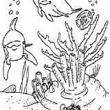Ocean Ecosystem Drawing Coloring Pages Habitat Getdrawings sketch template
