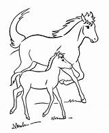 Colorare Cavallo Puledro Disegno Cavalli Corrono Cavallino sketch template