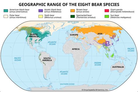 panda bear habitat map