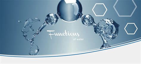 functions  water hpreiss international