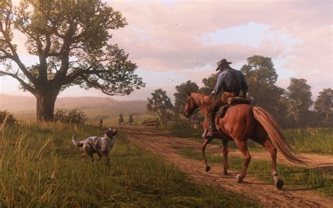 red dead redemption  survival guide cores customisation
