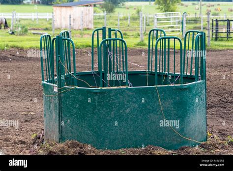 bale feeder  res stock photography  images alamy