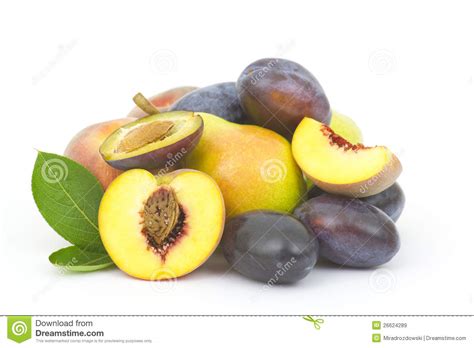 fresh fruits stock image image  plum white diet