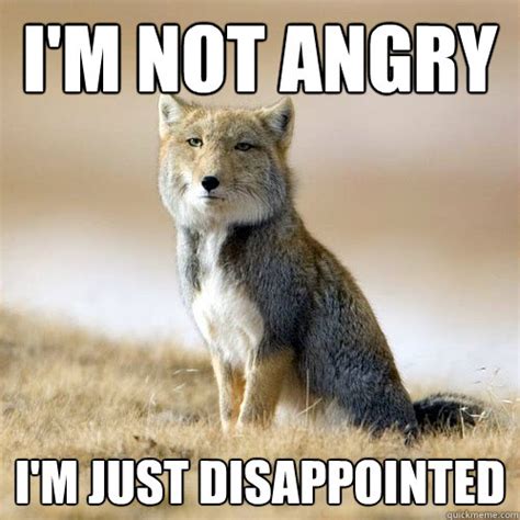 im  angry im  disappointed disappointed sand fox quickmeme