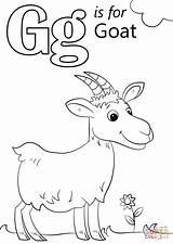 Goat Letter Coloring Pages Preschool Baby Printable Alphabet Worksheets Color Colouring Sheets Kids Drawing Preschoolers Kindergarten Words Abc Supercoloring Trend sketch template