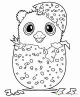 Hatchimals Hatchimal Kolorowanki Hamster Colleggtibles Bestcoloringpagesforkids Dzieci Wydruku Tsgos Drucken sketch template