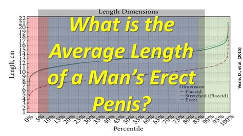 what is the average length of a man s erect penis youtube