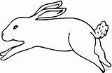 Coloring Lebre Disegni Hare Hase Lepri Correndo Ausmalbild Ausdrucken Bambini sketch template