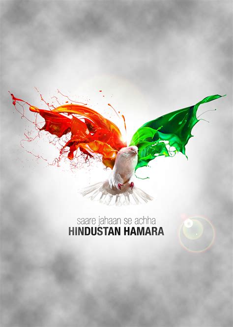 happy  independence day  behance