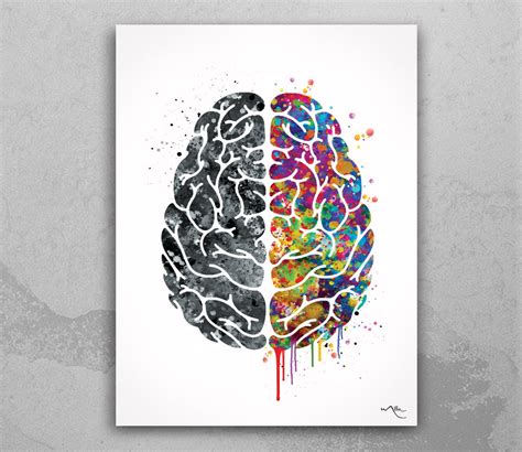 creative brain watercolor print medical art science art geek etsy