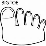 Coloring Toe Big Pages Anatomy Surfnetkids Hands sketch template