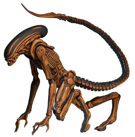 discontinued alien  classic video game appearance dog alien