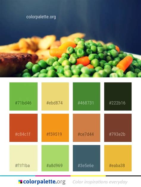 natural foods color palette ideas colorpaletteorg