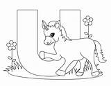 Coloring Alphabet Pages Animal Letters Printable Color Getcolorings Print sketch template