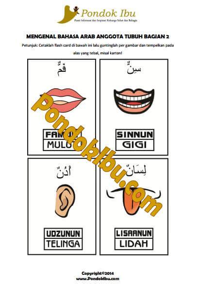 Download Kartu Bahasa Arab Anggota Tubuh Bagian 2