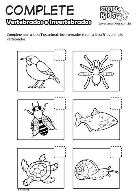 desenhos de animais invertebrados io86 ivango