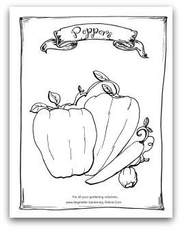 vegetable garden coloring books printable activity pages  kids