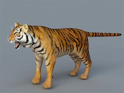 bengal tiger  model ds max files   modeling   cadnav