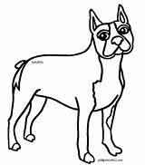 Boston Terrier Coloring Pages Hunting Massachusetts Designlooter Clipartpanda Duck Innovation Creative Getdrawings Dogs Drawing Popular 648px 88kb 20clipart sketch template