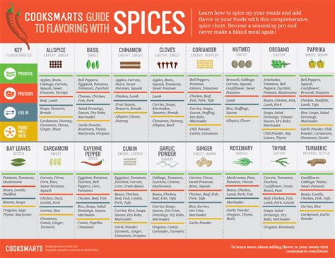 comprehensive spice chart  seasoning   pro infographic