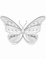 Papillon Artherapie sketch template